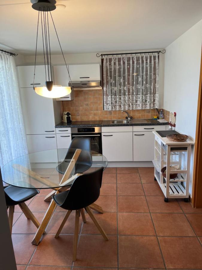 Green View Apartments Tenero-Contra المظهر الخارجي الصورة