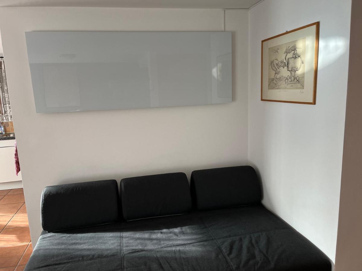 Green View Apartments Tenero-Contra المظهر الخارجي الصورة