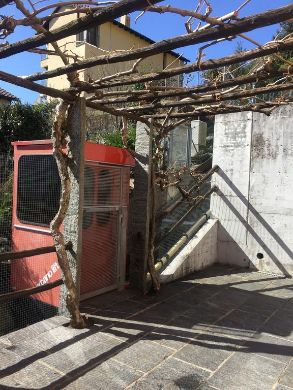 Green View Apartments Tenero-Contra المظهر الخارجي الصورة